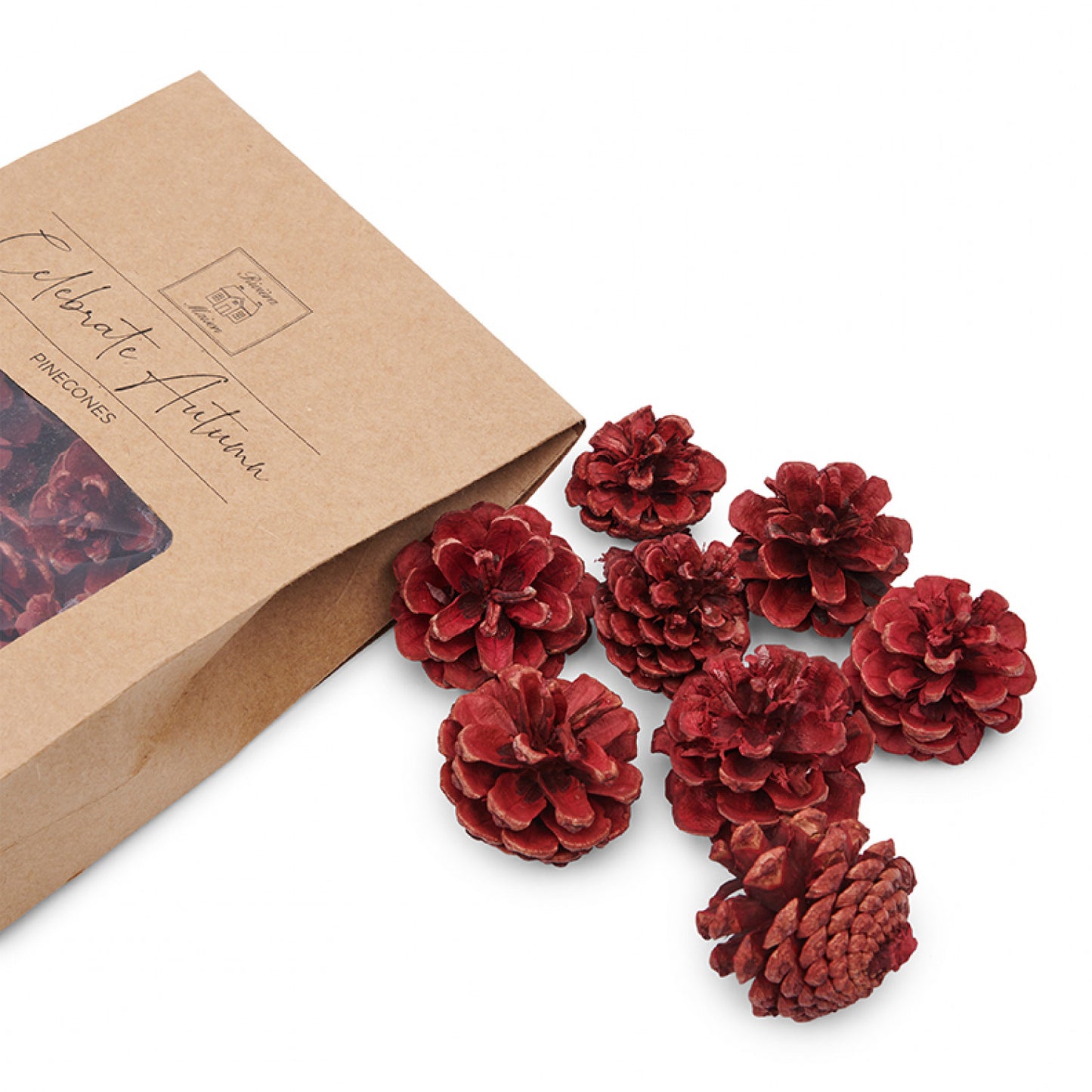 Celebrate Autumn Pinecones