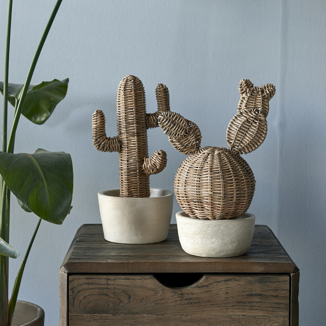 Rustic Rattan Desert Cactus
